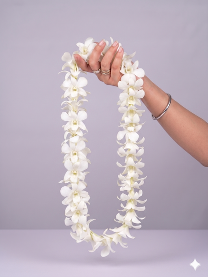 Graduation SET * (6) Lei +(1) Haku Lei +(1) Presentation Bouquet *