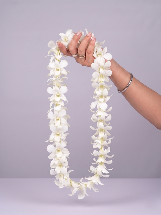 Graduation Lei "White Orchid Lei"