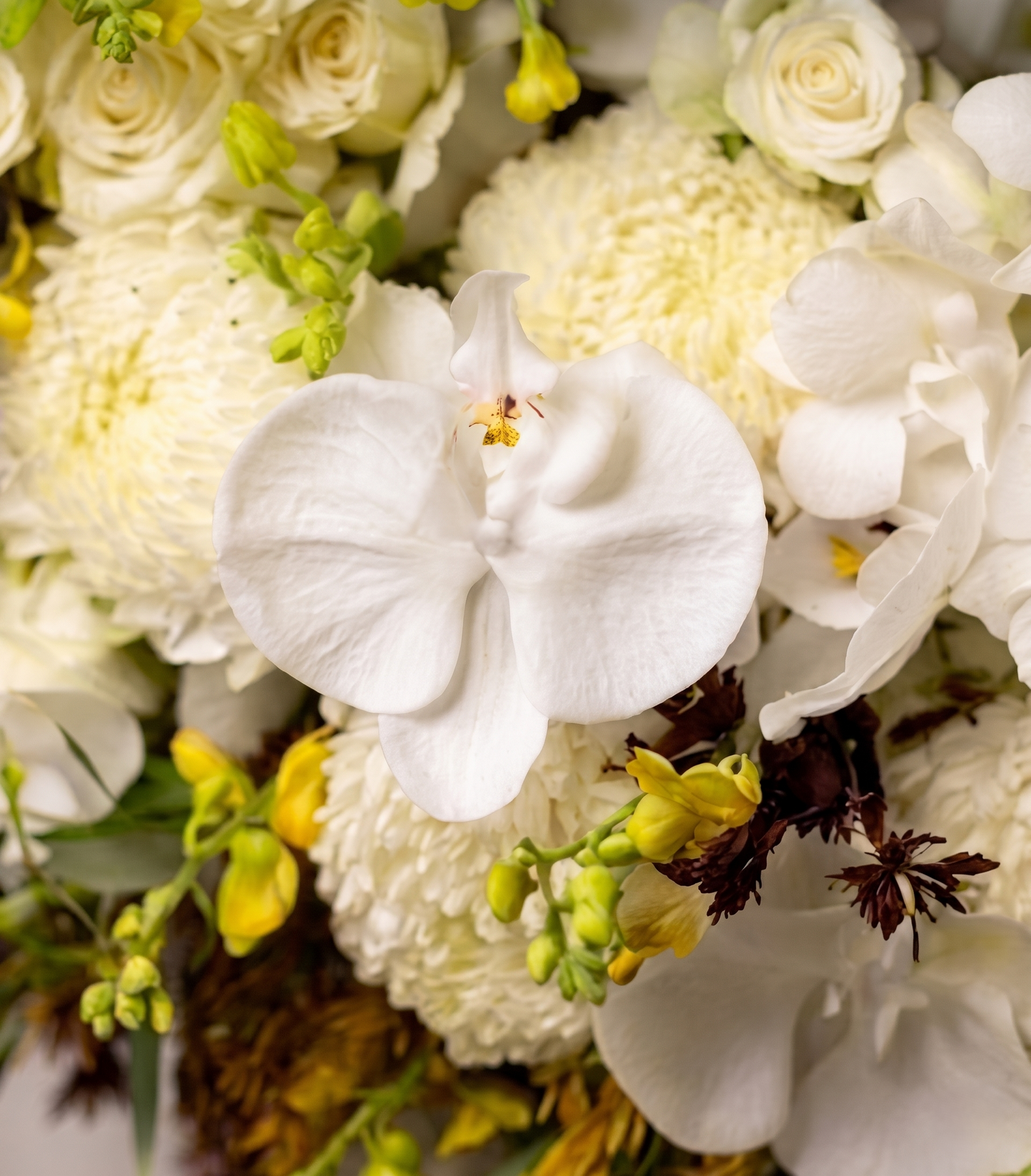 Premium White Sympathy Wreath | Funeral Flower Hawaii