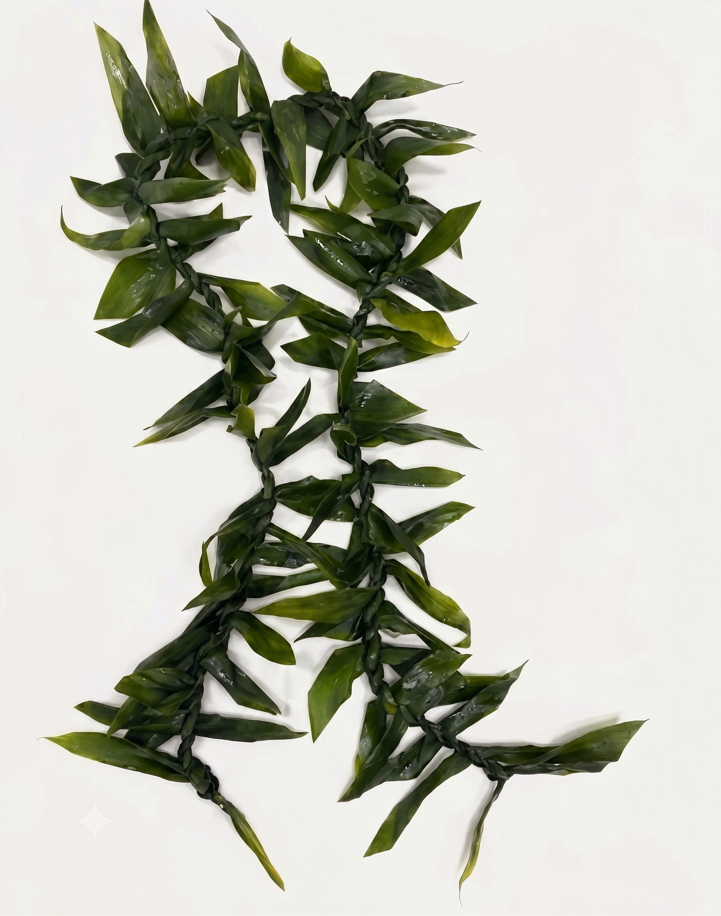 Adult Ti Leaf Lei – Hawaiian Lei for Graduation & Celebrations